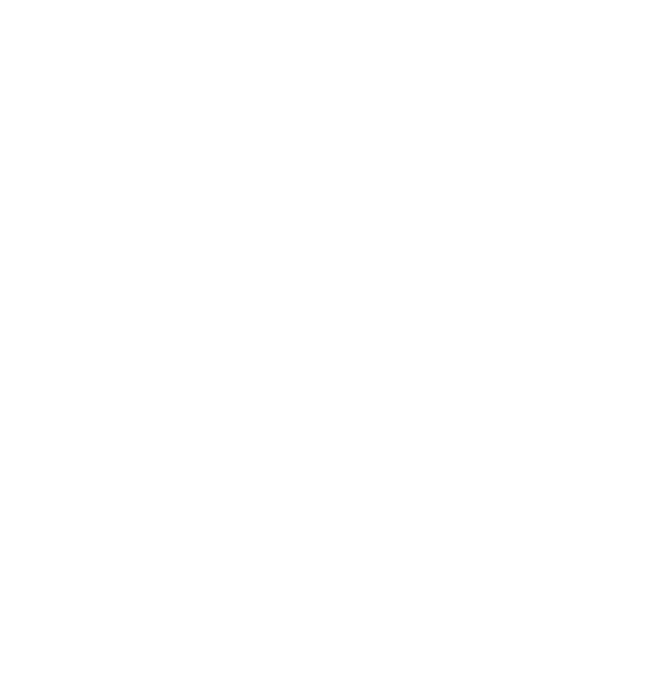 EMshield GmbH - Architecture and Corporate Security - icon
